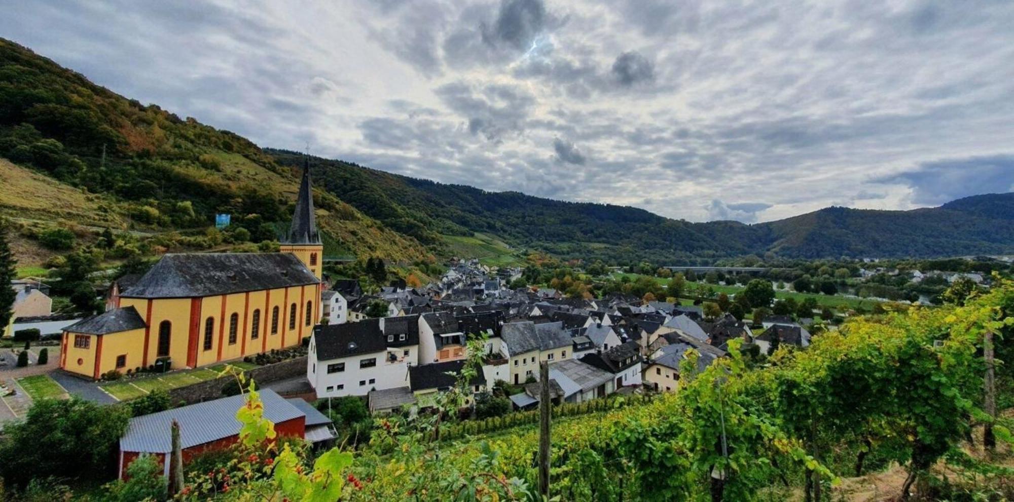 Ferienwohnung An Der Mosel, Romeo Senheim Extérieur photo